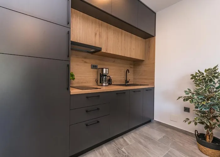 アパート Marilu Luxury ドラゲ